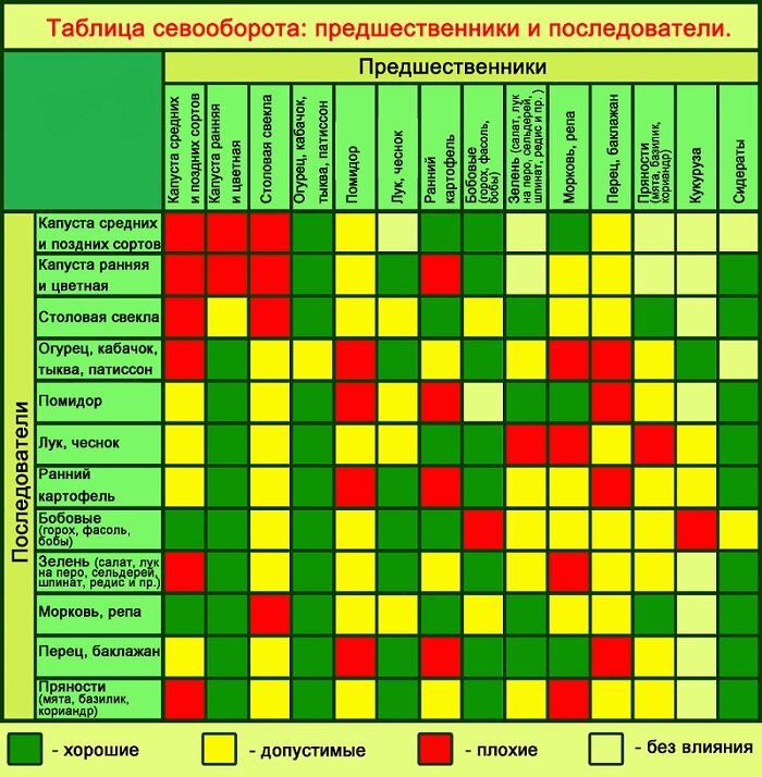 севооборот овощных таблица